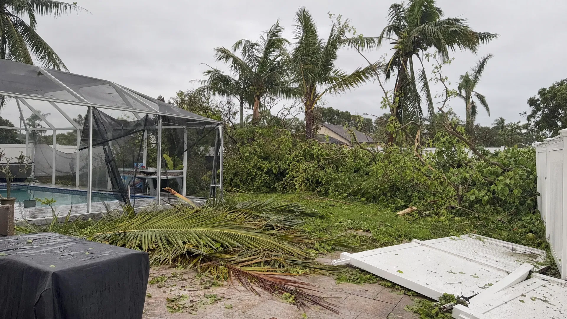 Storm debris and fallen palm fronds in Broward County backyard before Superior Demo cleanup